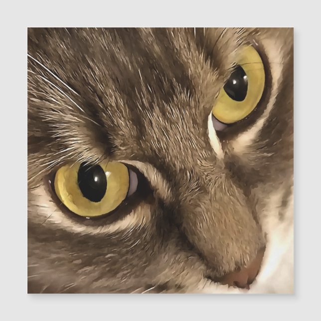 Artístico Fecha Olhos de Retrato de Gato e Nariz (Frente)