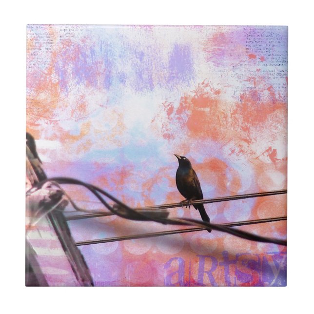 Artsy Grackle (Frente)