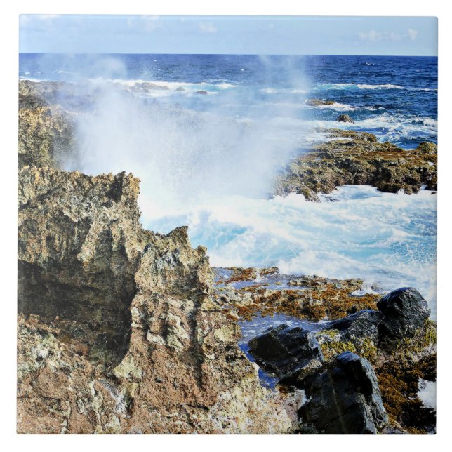 Aruba, mar de Caribes insulares (Frente)