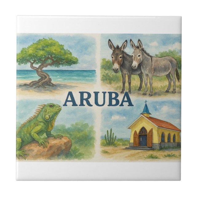 Aruba multivisual aquarela (Frente)