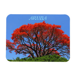 Aruba uma ilha feliz ímã