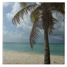 Aruban Beach I Linda cena natural