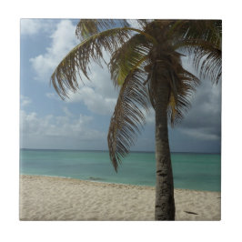 Aruban Beach I Linda cena natural