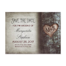 árvore antiga rústica salve os cartões postais de 