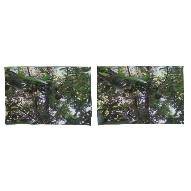 Árvore Avocado (Frente - conjunto)