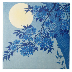 Árvore Azul ao Luar: Noite de Flor de Cerejeira Ja