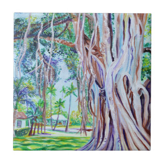 Árvore Banyan em Waimea Plantation Cottages