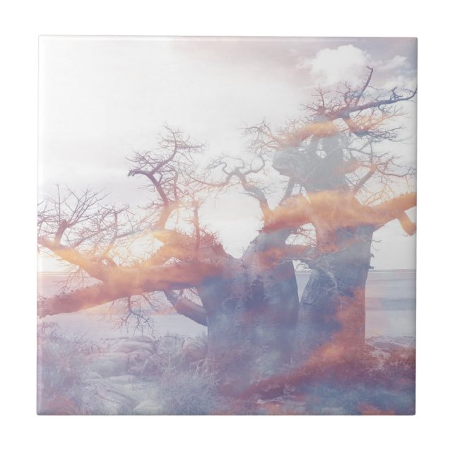 Árvore Baobab da Ilha de Botswana Kubu (Frente)