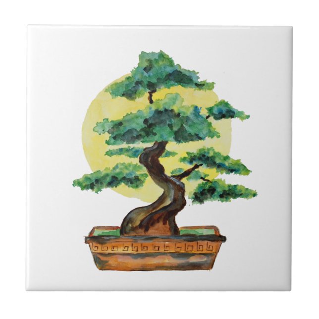Árvore Bonsai Japonesa Luz do Sol (Frente)