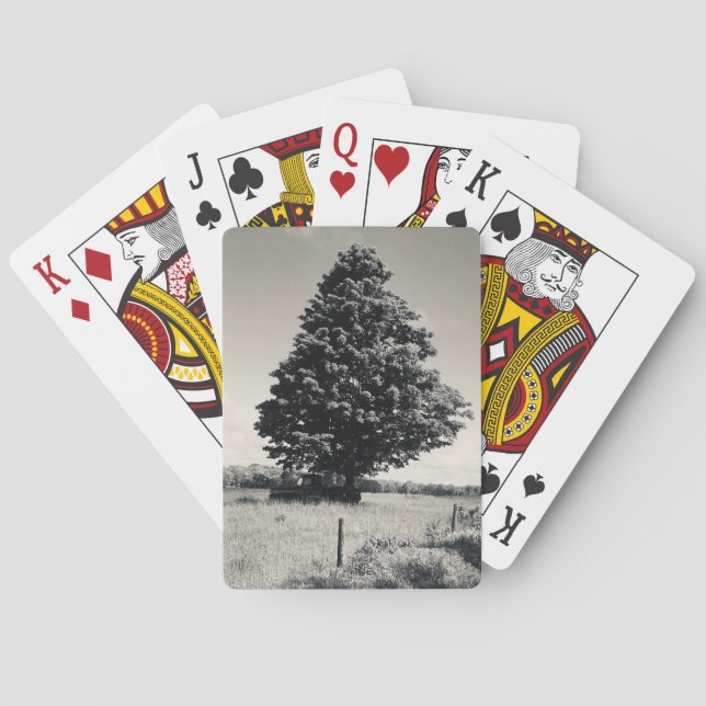 árvore cartas de baralho (Verso)