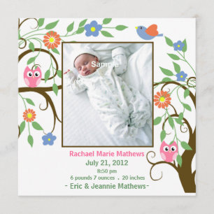 Árvore colorida com anúncio do bebê das corujas