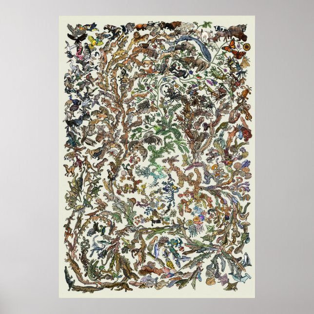 Árvore da Vida - Poster de Evolução - Cor (Frente)