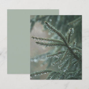 Árvore de abeto verde, Papel de Álbum de Recortes