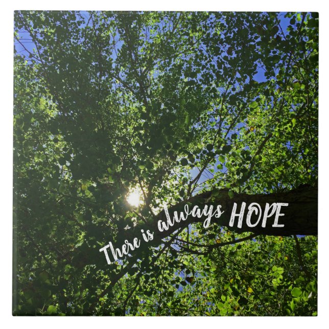 Árvore de Ascensões Sun Inspiradora Sempre Há Espe (Frente)