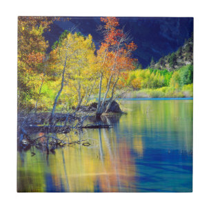 Árvore de Aspen no outono refletindo no Lago Grant