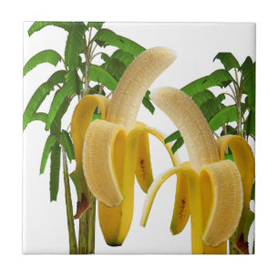 Árvore de Banana Azulejo cerâmica