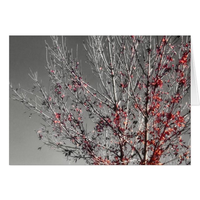 Árvore de cartão de esperança (Frente Horizontal)