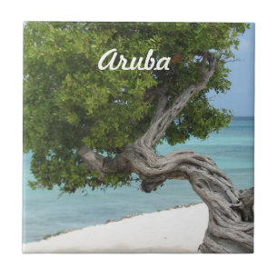 Árvore de Divi Divi em Aruba