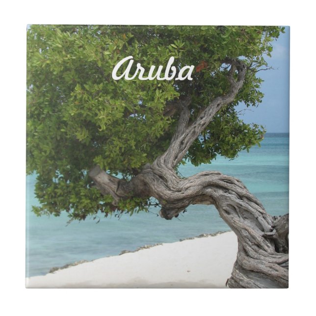 Árvore de Divi Divi em Aruba (Frente)