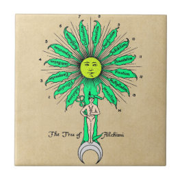 Árvore de Hermes da alquimia