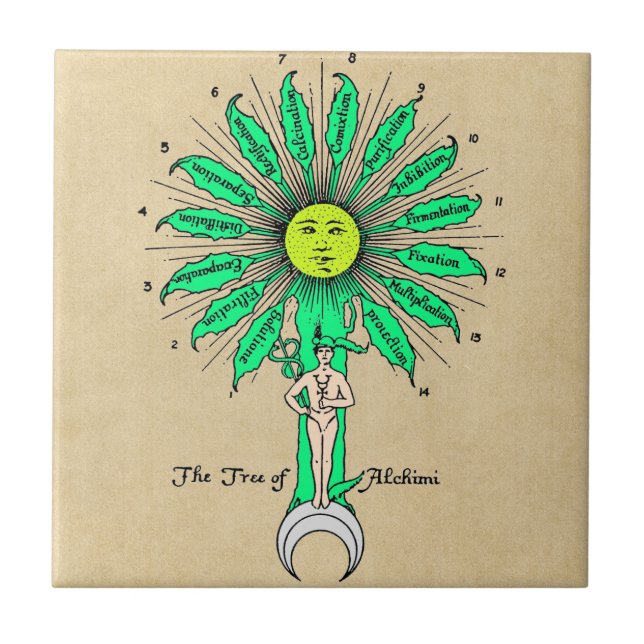 Árvore de Hermes da alquimia (Frente)