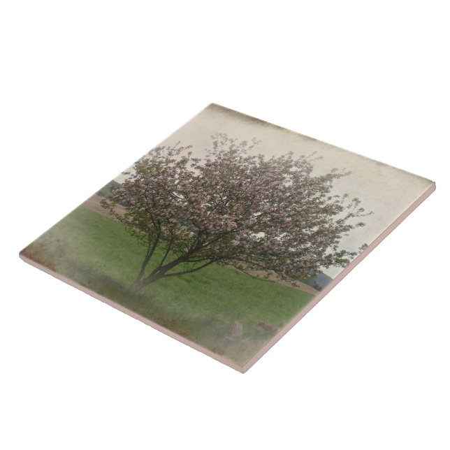 Árvore de Maçã em Bloom (Lateral)