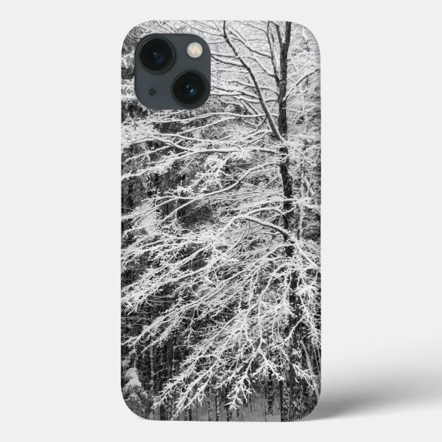 Árvore de Maple Delineada na Neve (Verso)
