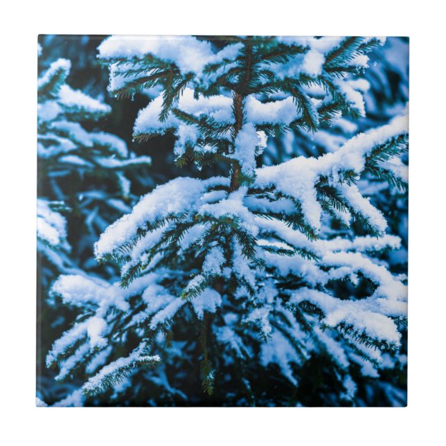 Árvore de Natal de Inverno (Frente)