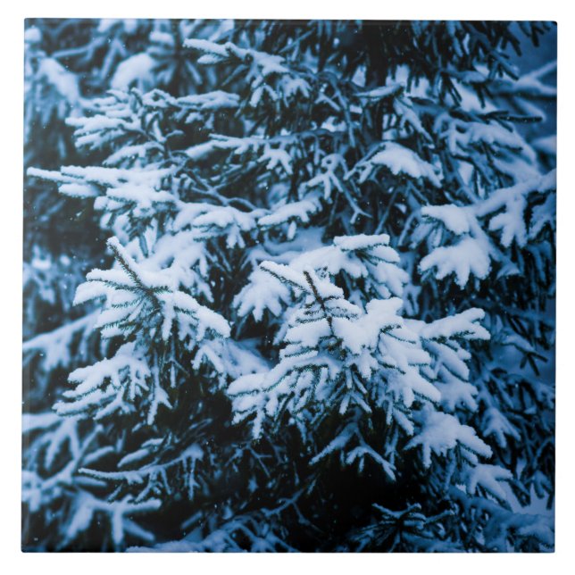 Árvore de Natal de inverno em queda de neve (Frente)