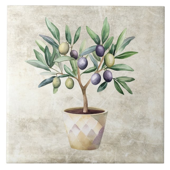 Árvore de oliveira em aquarela textura falsa tosca (Frente)