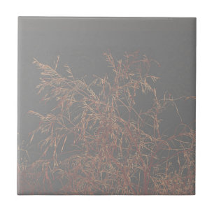 Árvore de Ouro de carvão negro Céu