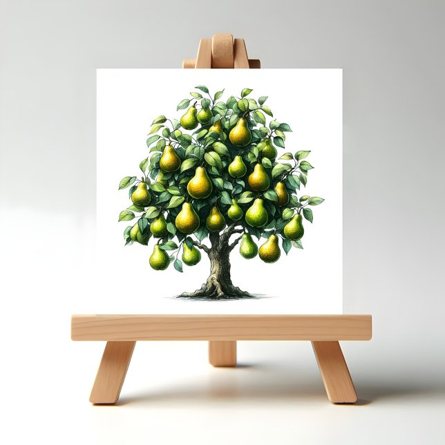 Árvore de pera (Pear Tree Illustration on Easel display stand.)
