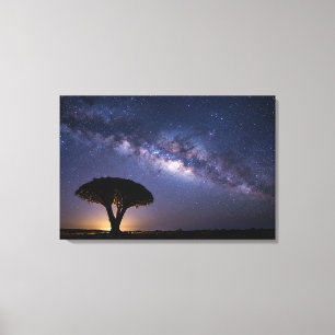 Árvore de Sangue de Dragão Via Láctea Canvas Natur