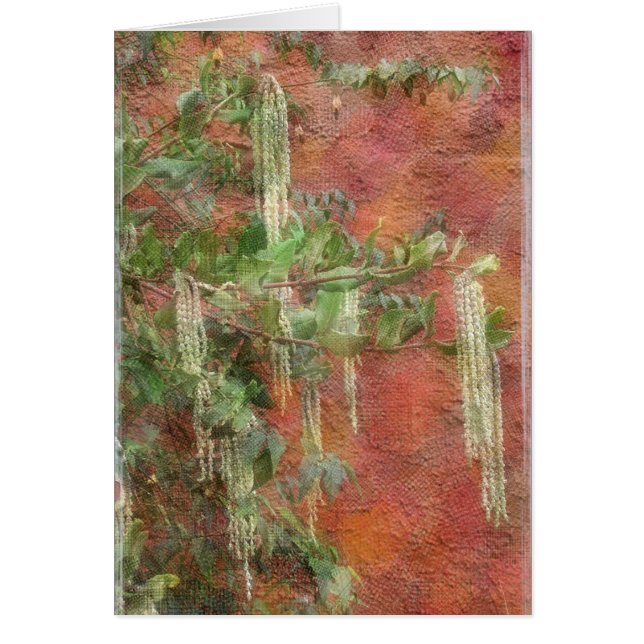 Árvore de seda da borla - cartão (Frente)