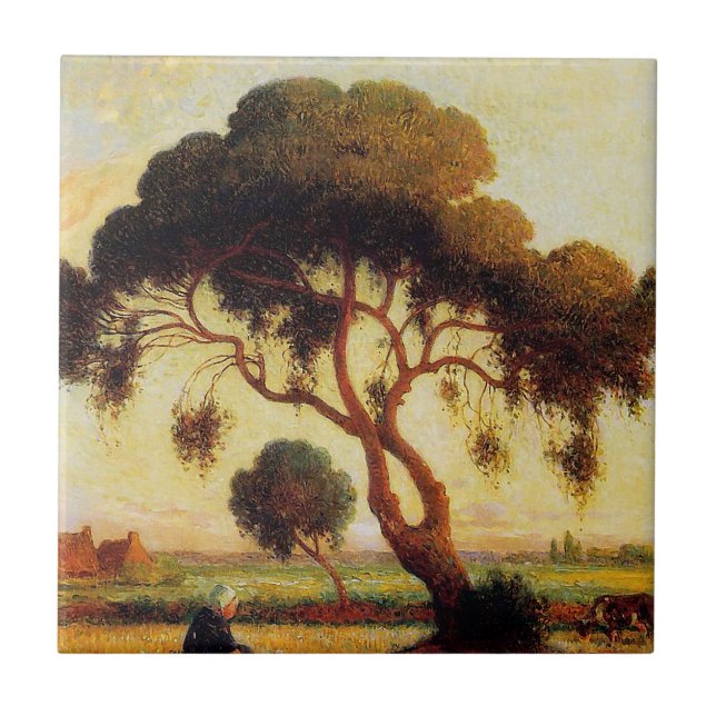 Árvore de Sombra (Frente)