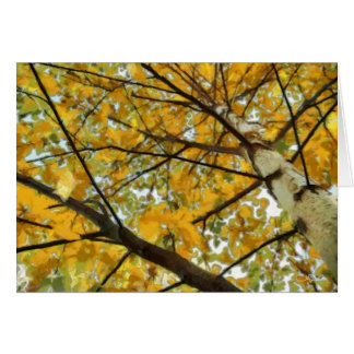 Árvore de vidoeiro do outono no cartão amarelo