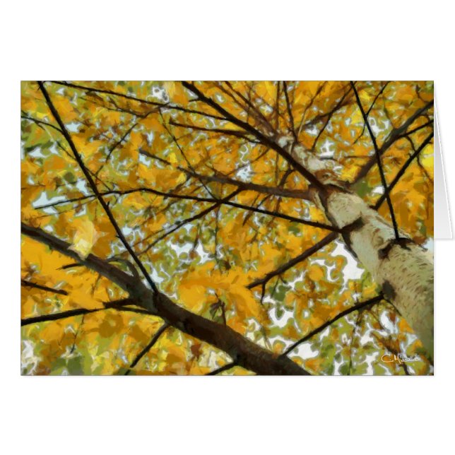 Árvore de vidoeiro do outono no cartão amarelo (Frente Horizontal)