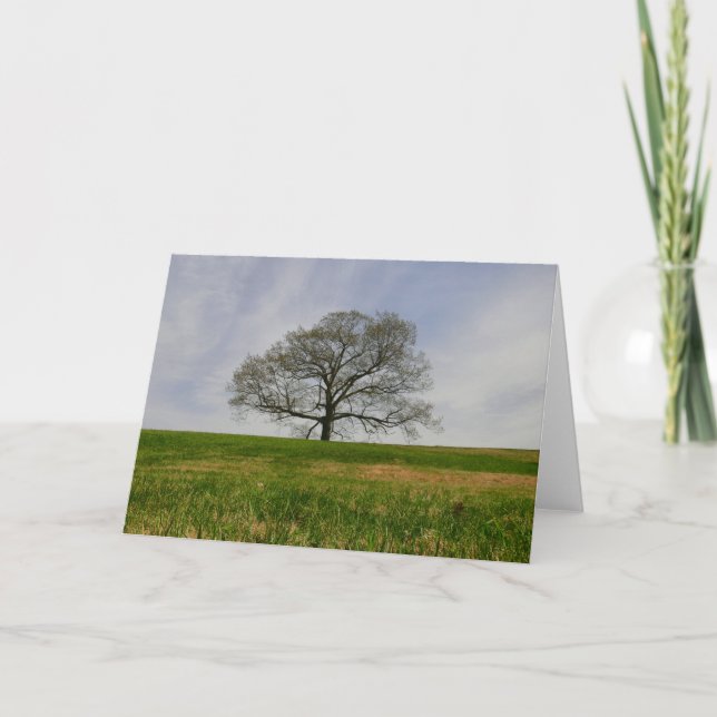 Árvore do cartão da vida (Frente)