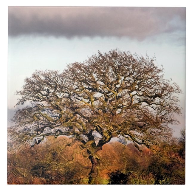 ÁRVORE DO INVERNO (Frente)