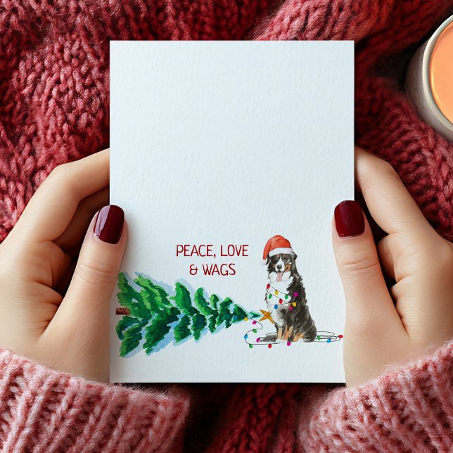 Árvore e Luzes do Cartão de Natal de Cachorro Bern (Bernese Mountain Dog Christmas Card Tree & Lights)