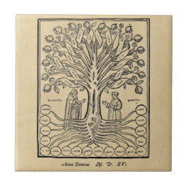 Árvore medieval das ciências