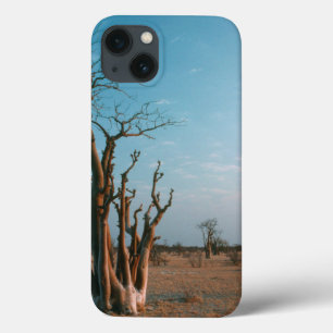 Árvore Moringo Africana na Planície, Etosha Nacion