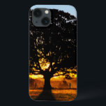 Árvore na manhã<br><div class="desc">Árvore na luz do amanhecer. Foto submetida por um leitor do país. O compartimento do país comemora a beleza excitante, pessoas de contrato, resistindo valores e estilo de vida espiritual rewarding do campo americano. Nossos leitores entusiásticos contribuem quase três quartos do índice de cada compartimento, compartilhando de suas histórias, fotografia...</div>