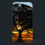 Árvore na manhã<br><div class="desc">Árvore na luz do amanhecer. Foto submetida por um leitor do país. O compartimento do país comemora a beleza excitante, pessoas de contrato, resistindo valores e estilo de vida espiritual rewarding do campo americano. Nossos leitores entusiásticos contribuem quase três quartos do índice de cada compartimento, compartilhando de suas histórias, fotografia...</div>