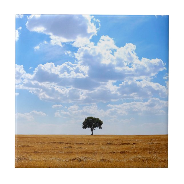 Árvore num campo de trigo colhido (Frente)