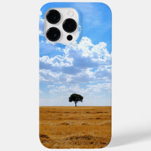 Árvore num campo de trigo colhido