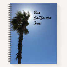 Árvore Palm da Califórnia