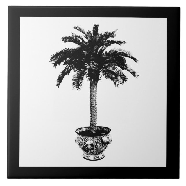 Árvore Palm - preto e branco (Frente)