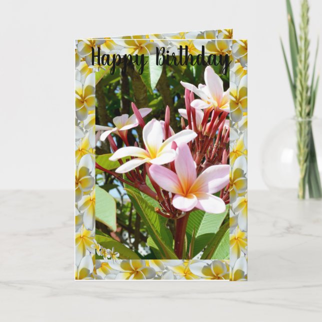 Árvore Rosa Frangipani, Cartão de Saudação Dobrado (Frente)