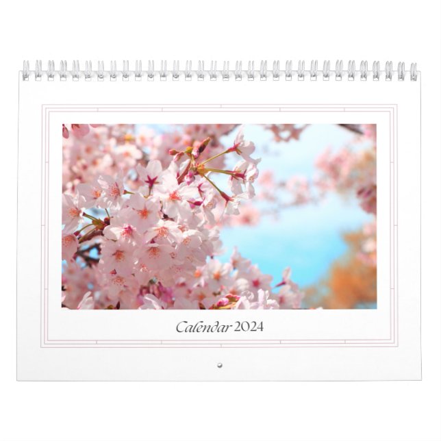 Árvore Sakura do Calendário 2024 (Capa)